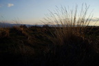p4300479