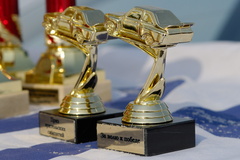 «Приз зрительских симпатий», приз «За волю к победе»